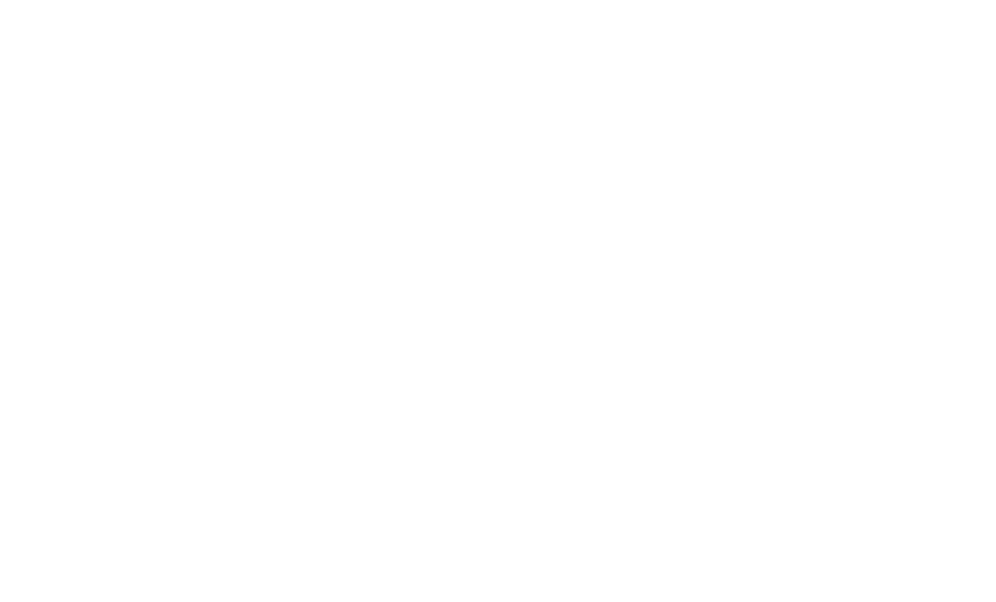 Q Media partner yetkinlikleri